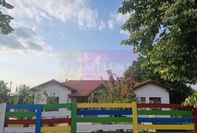 Se vinde teren 4200 mp in Teisori Giurgiu - 1
