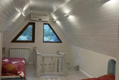 Casă cu 1 camere cu Teren 2859 Mp în Siliștea Snagovului - 3