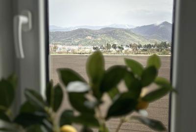 Apartament cu 2 camere decomandat în Drumul Carului - 6