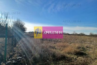 Săbăreni, teren 6200 mp, construibil, cu utilități - 1