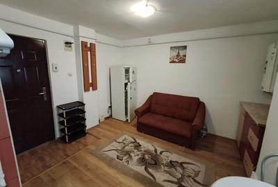 Apartament cu 2 camere decomandat în Podu Roș - 5