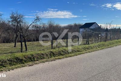 Casă cu 2 camere în Săliștea - 3