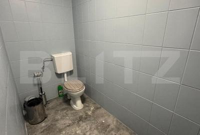 Spatiu Comercial de inchiriat, 88 mp utili , Piezisa, Vad Exceptional! - 2