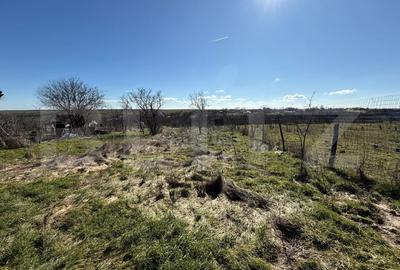 Casă individuală cu 5 camere cu Teren 1008 Mp în Exterior Vest - 4