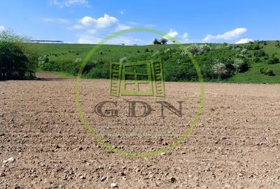 Teren  oportunitate investitie  19.000mp, zona Aeroport, - 3