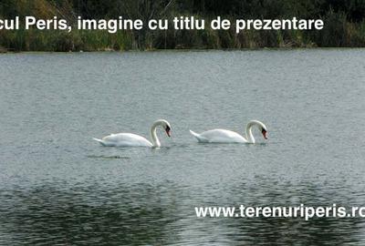 Teren în Săftica - 10