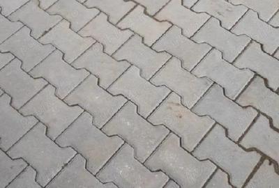 Casă în Radu Negru