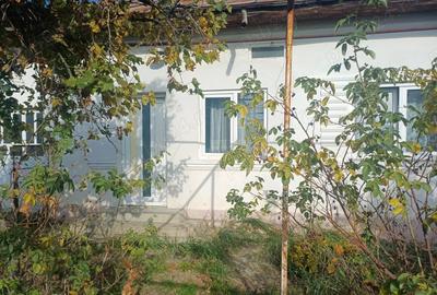 Vand casa comuna Cocu,sat Crucisoara - 4