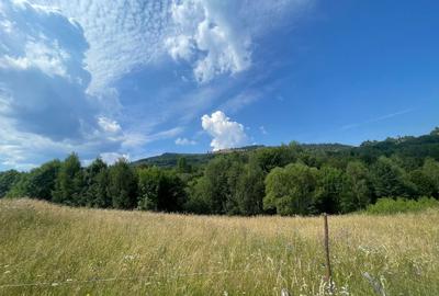 Teren agricol intravilan de 8355 mp, în Săcuieu - 3