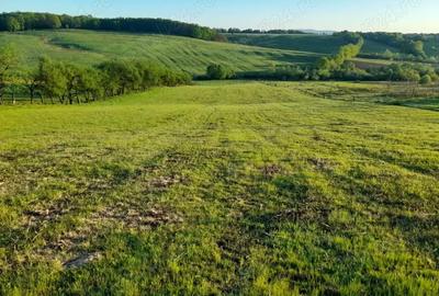 Teren de 9400 mp, în Remetea Chioarului - 3