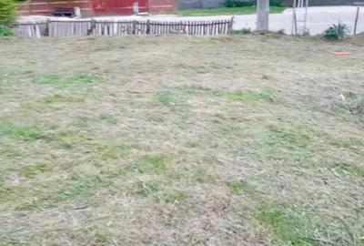 Teren de 1000 mp, în Băbana - 3