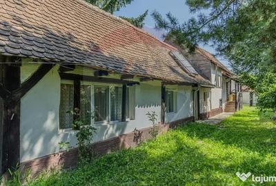 Casă cu 4 camere cu Teren 5576 Mp în Bunești - 18