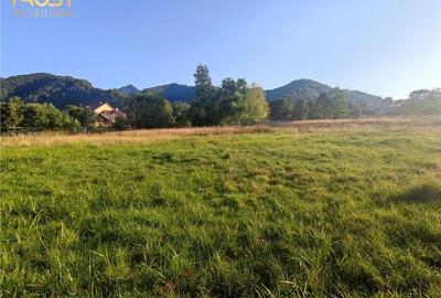 Teren intravilan Bistrita Birgaului, schimb cu apartament Teren intravilan Bistrita Birgaului, schimb cu apartament - 4