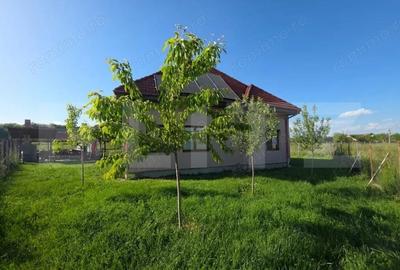 Casă cu 4 camere cu Teren 500 Mp în Central - 13