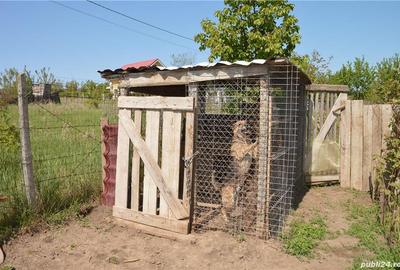 Casă cu 10 camere cu Teren 1278 Mp în Horpaz - 1