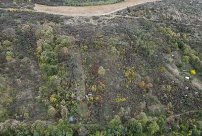 Teren 18,300mp Ghioroc - 10