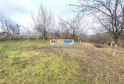 Vanzare casa Baicoi Prahova zona Dambu - 5