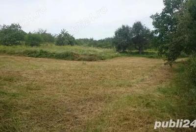 Casă cu 4 camere cu Teren 6200 Mp în Central - 11