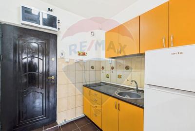 Garsonieră semidecomandată, mobilată în Noua - 10