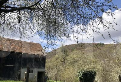 Casă cu 2 camere cu Teren 3198 Mp în Zălan - 6