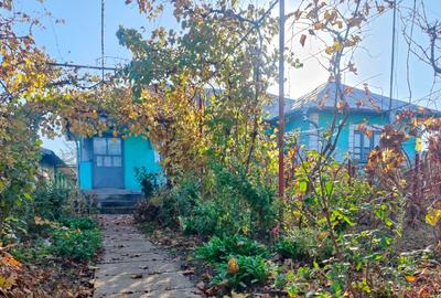 Casă de vânzare în comuna Perișor, județul Dolj - 12