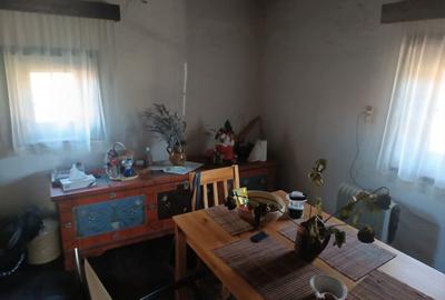 Proprietar, casa de vacanta de vanzare - 10