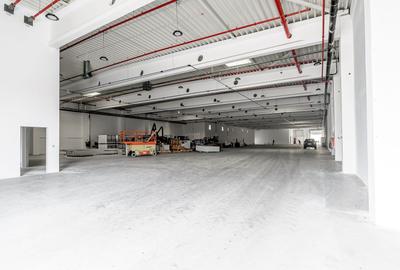 Spațiu industrial, de 2,682 mp, în Exterior Vest - 3