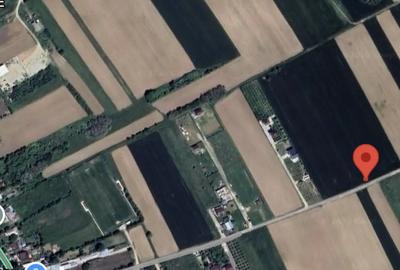 Teren de 10000 mp, în Ulmi - 5