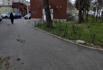 Spațiu comercial, de 42 mp, în Brazda lui Novac - 4