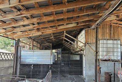 Casă cu 5 camere în Caracal - 7