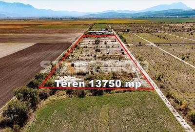 Teren Industrial Sere Codlea - 3