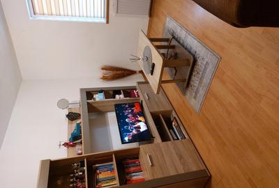 Apartament cu 2 camere semidecomandat în Brezoi - 1