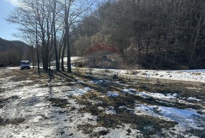 Teren Construcții intravilan de 1340 mp, în Cuejdiu - 4