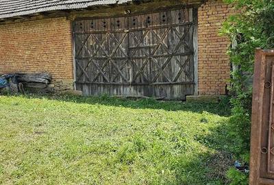 Casă cu Teren 5000 Mp în Dragu - 3