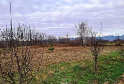 TEREN INTRAVILAN POLOVRAGI - 6