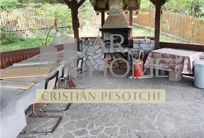 Vila  Provita de  Jos 380mp - 20