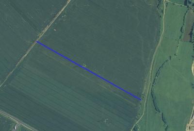 Teren agricol extravilan de 53.810001373291 mp, în Exterior Est - 2