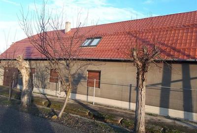 Casa P+M cu anexe in Vladimirescu Casa P+M cu anexe in Vladimirescu - 1