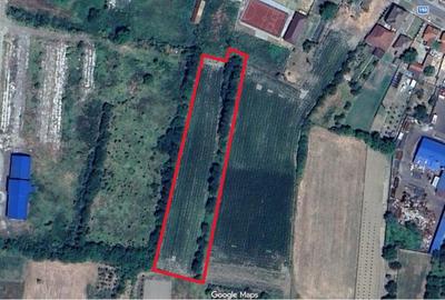 Spațiu comercial, în Păulești - 1