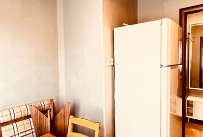Apartament cu 3 camere semidecomandat, mobilat în Brâncoveanu - 41
