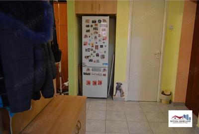 Apartament cu 3 camere decomandat în Dâmbu Pietros - 8