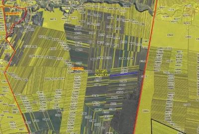 Teren extravilan Obrejita, ID: R2832813 - 2