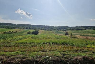 Teren de 9570 mp, în Ionești - 2
