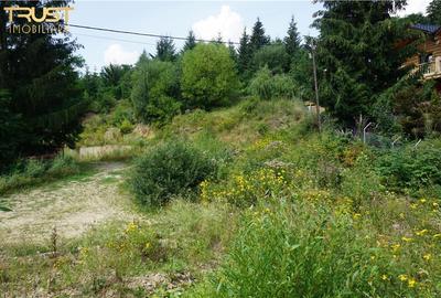 Colibita teren intravilan utilitati - 8