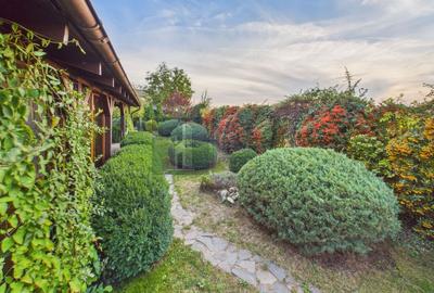 Casă individuală cu 7 camere cu Teren 980 Mp în Snagov - 14