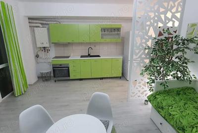 Garsonieră semidecomandată în Roșu - 1