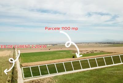 Parcele 1100 mp Pentru Microferme, Grădini Bio & Creșterea Animalelor - 5