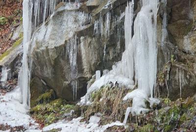 Casă cu 3 camere în Central - 2