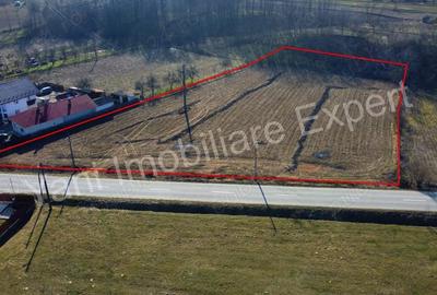 Teren de 5600 mp, în Valea Brazilor - 7