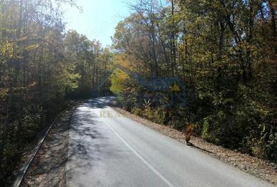 Teren de 7000 mp, în Vărbila - 4